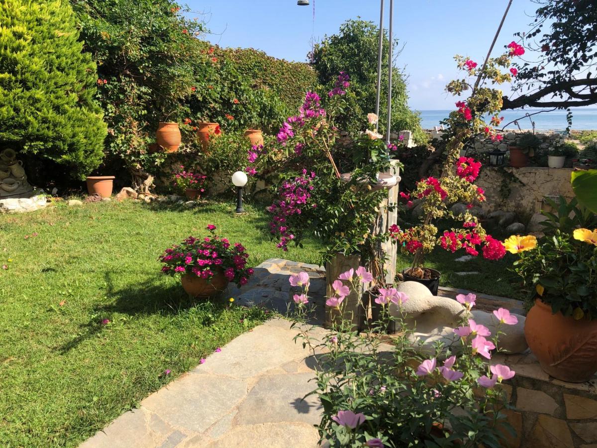 קליבס Asterias Studios & Apartments מראה חיצוני תמונה