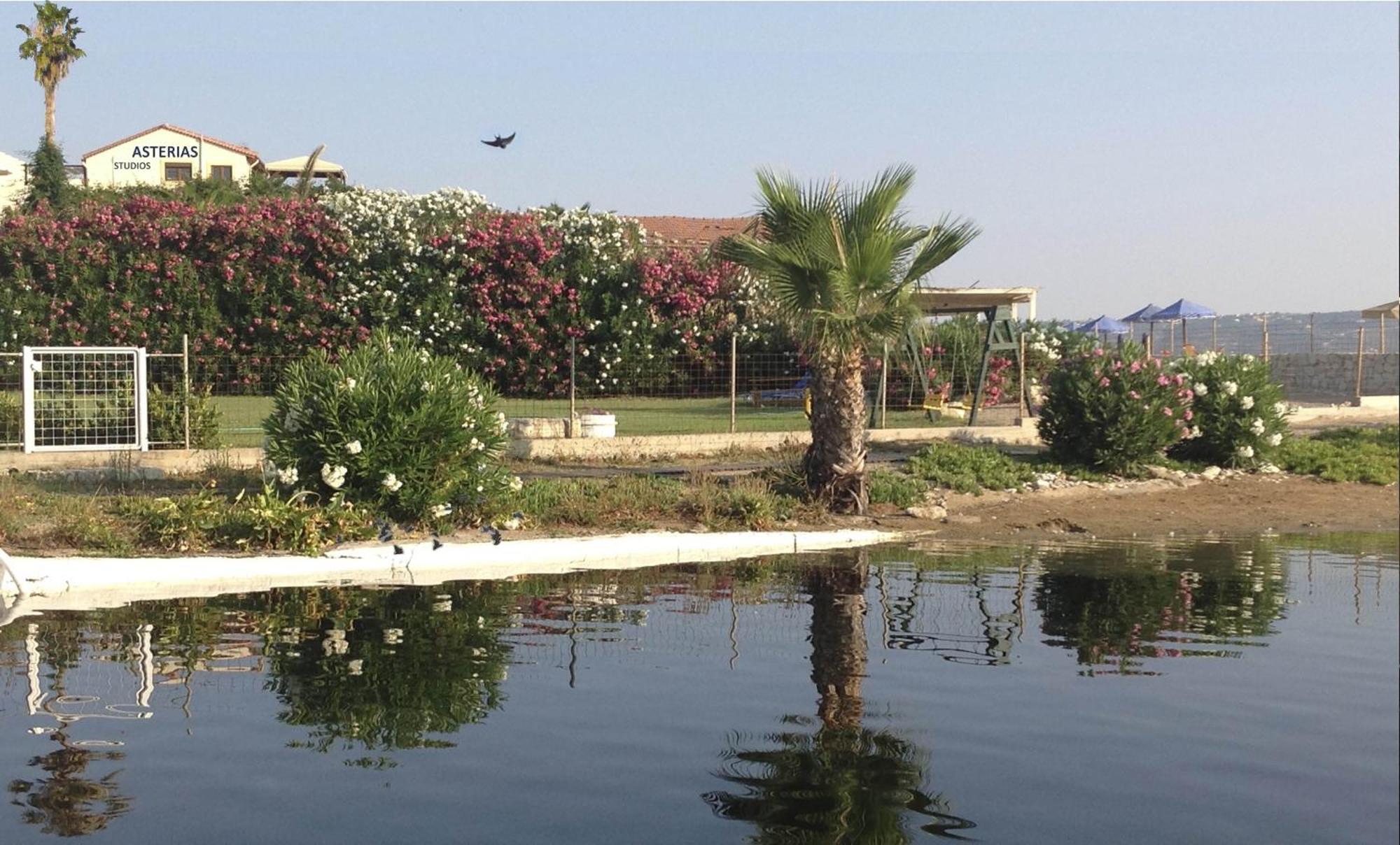 קליבס Asterias Studios & Apartments מראה חיצוני תמונה