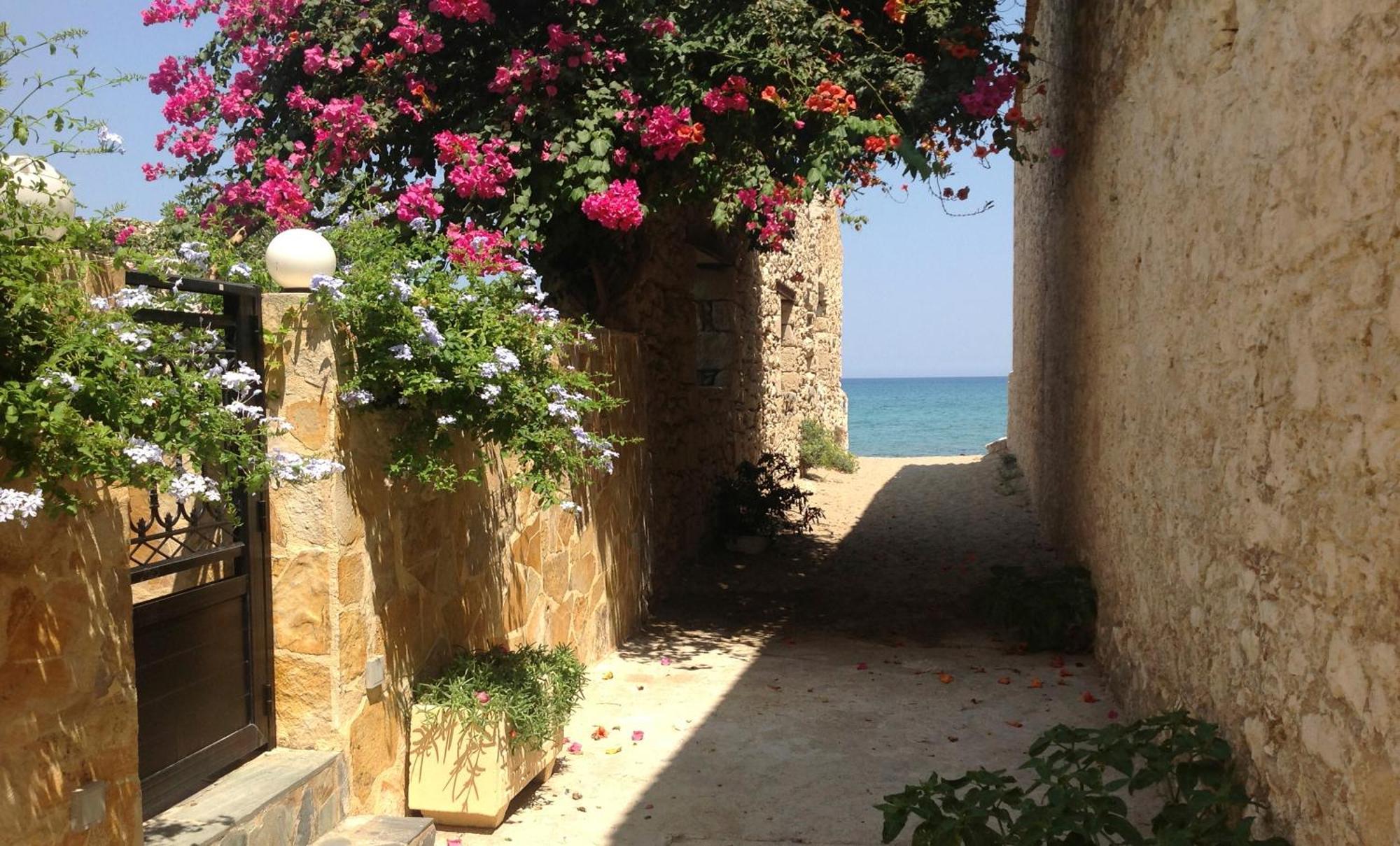 קליבס Asterias Studios & Apartments מראה חיצוני תמונה