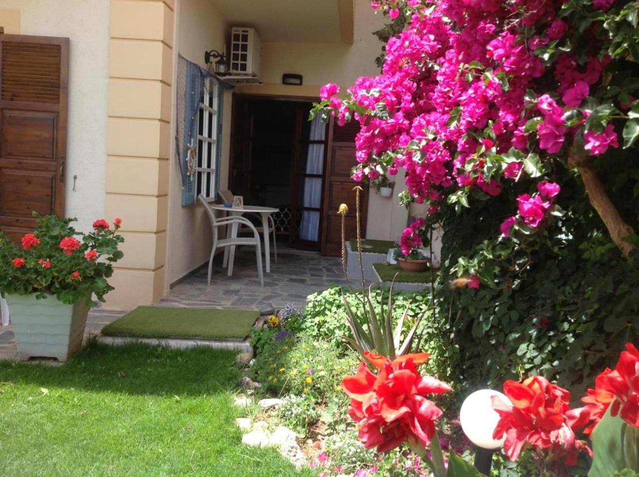 קליבס Asterias Studios & Apartments מראה חיצוני תמונה